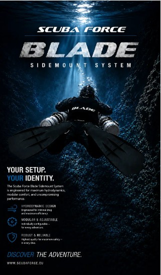 BLADEWERBUNG.jpg